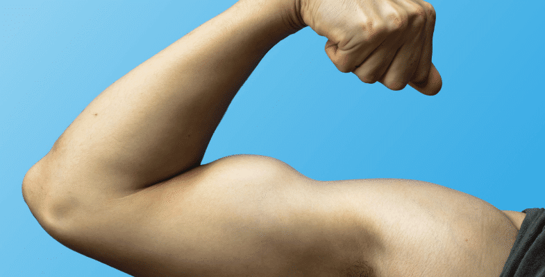 Small Muscles: 4 Best Reasons of Not Growing Muscles