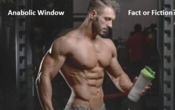 Anabolic Window Fact or fiction