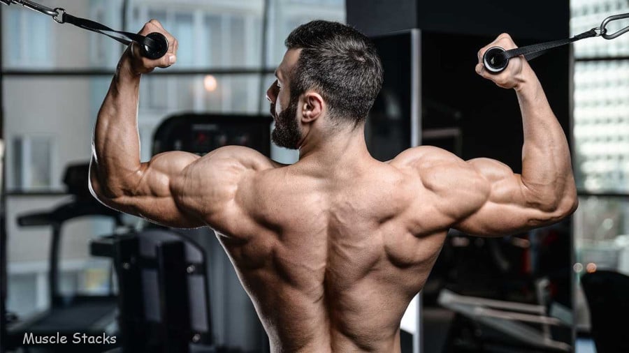 Bulk Up Fast: Maximize The Muscle Building Process in 2022