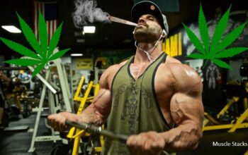 Marijuana And Bodybuilding