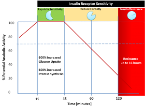 Post worrkout Anabolic Window