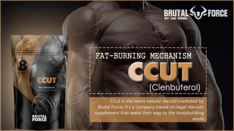 The Best Clenbuterol Alternative - Brutal Force CCUT