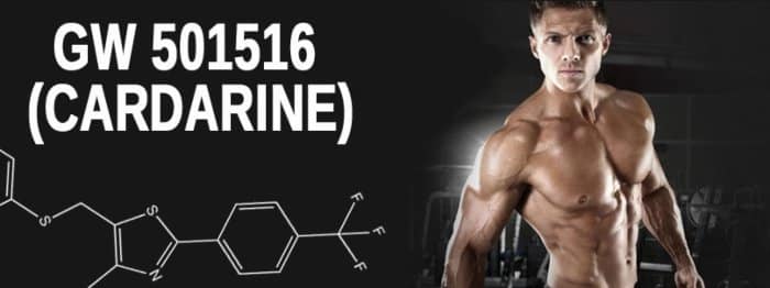 Cardarine GW 501516